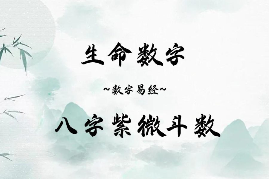 生命数字八字紫微斗数