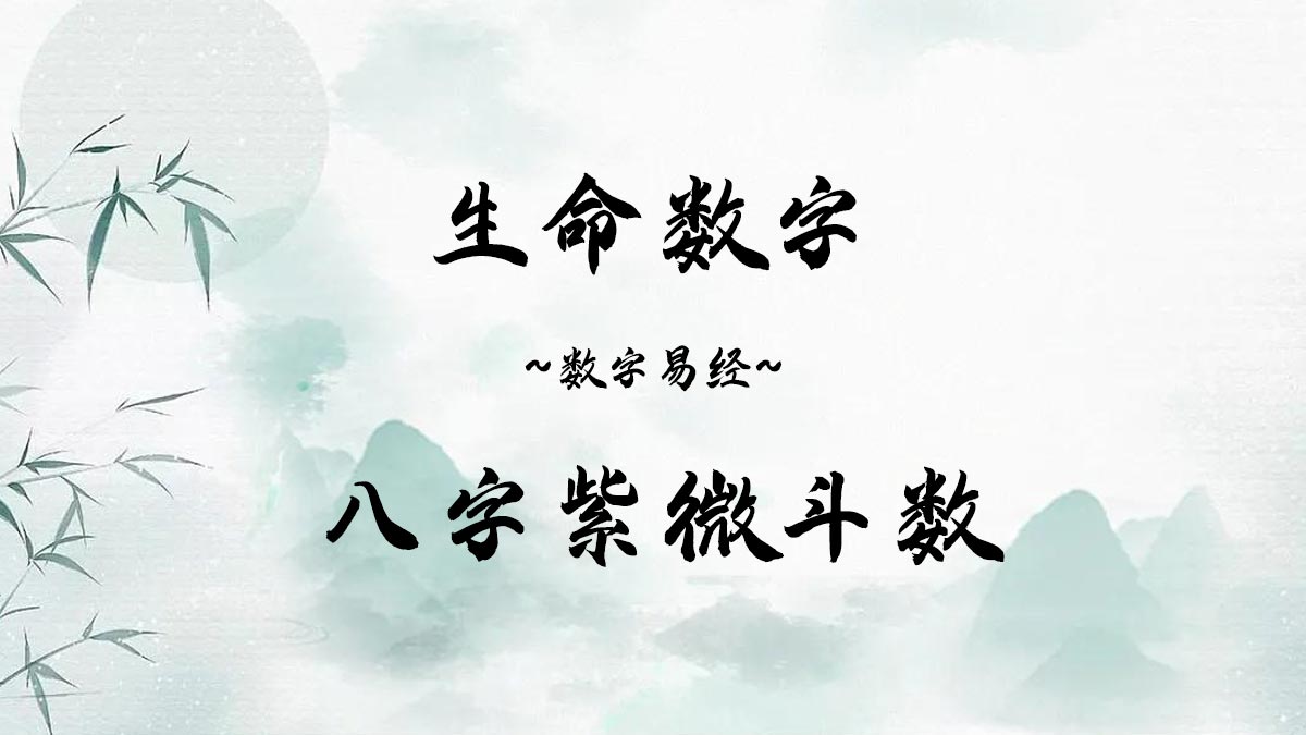 生命数字八字紫微斗数